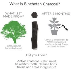 Black + Blum Binchotan Active Charcoal For Eau Good Water Bottles 4-pack -Keukenseries Speciaal Winkel 1200x1200 371