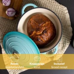 Chefarone Gietijzeren Pan - Braadpan Inclusief Deksel - Geschikt Voor Alle Warmtebronnen - Geëmailleerd Blauw 13 Chefarone Gietijzeren Pan - Braadpan Inclusief Deksel - Geschikt Voor Alle Warmtebronnen - Geëmailleerd Blauw -Keukenseries Speciaal Winkel 1200x1200 708