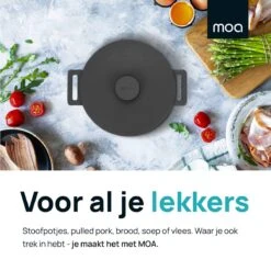 MOA Gietijzeren Braadpan - Inhoud 7,1 Liter - 29CM - Rond - Alle Warmtebronnen - Ook Voor Inductie - Gewicht 7,6 Kg - Zwart - MC29B -Keukenseries Speciaal Winkel 1200x1200 870