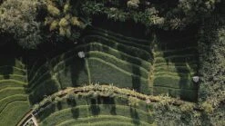 Sola Bestekset Bali - Modern - 9 Persoons - 90 Delig - Zilverwit Edelstaal 18/10 - RVS - Zilver 10 Sola Bestekset Bali - Modern - 9 Persoons - 90 Delig - Zilverwit Edelstaal 18/10 - RVS - Zilver -Keukenseries Speciaal Winkel 1200x675 15