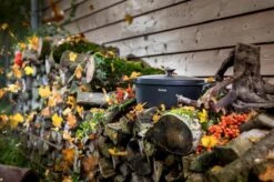 Tefal Trattoria Braadpan - Ø28 Cm - Inclusief Deksel -Keukenseries Speciaal Winkel 1200x799 44