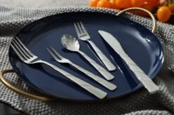 Swiss Pro+ Bestekset In Koffer-72 Delig-12 Persoons-Zwitsers Kwaliteit-Complete Set-100% Roestvrijstaal-Modern 24 Swiss Pro+ Bestekset In Koffer-72 Delig-12 Persoons-Zwitsers Kwaliteit-Complete Set-100% Roestvrijstaal-Modern -Keukenseries Speciaal Winkel 1200x799 78