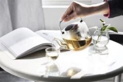 Viva Scandinavia Bjorn Theepot - Glas - Met Filter - 1,2 L - Transparant -Keukenseries Speciaal Winkel 1200x807