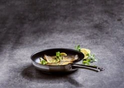 BK Allround Koekenpan Ø 24 Cm - Inductie - PFAS-vrij 20 BK Allround Koekenpan Ø 24 Cm - Inductie - PFAS-vrij -Keukenseries Speciaal Winkel 1200x851