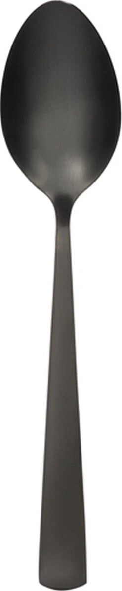 Swiss Pro+ Bestekset In Koffer-72 Delig-12 Persoons-Zwitsers Kwaliteit-Complete Set-100% Roestvrijstaal- Zwart -Keukenseries Speciaal Winkel 248x1200