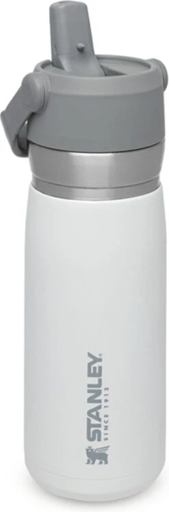 Stanley The IceFlow™ Flip Straw Water Bottle 0,65L - Thermosfles - Lagoon -Keukenseries Speciaal Winkel 396x1200 1