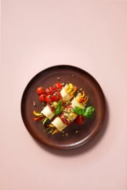 Palmer Serviesset Bama Copper Stoneware 6-persoons 24-delig Koper -Keukenseries Speciaal Winkel 800x1200 24