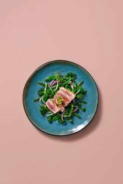 Palmer Serviesset Lotus Stoneware 6-persoons 24-delig Zwart Turquoise -Keukenseries Speciaal Winkel 801x1200 2